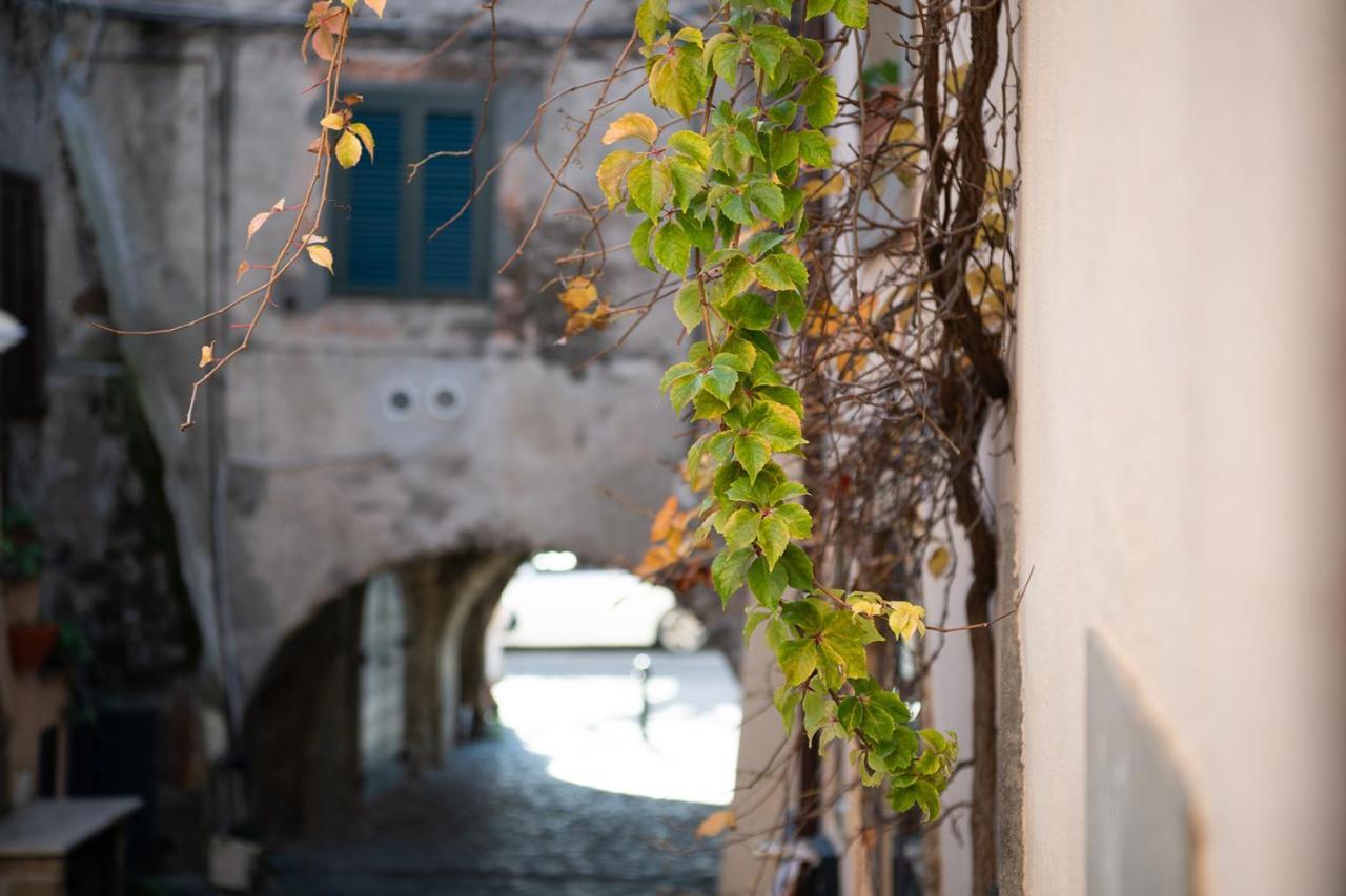 Hotel Borgo Vistalago Trevignano Romano Exteriér fotografie